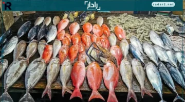 تحديث الأسعار.. تعرف على أسعار السمك والجمبري ليوم الأربعاء 17 ديسمبر 2025 وتغييرات السوق الأخيرة